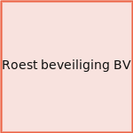 Roest beveiliging BV